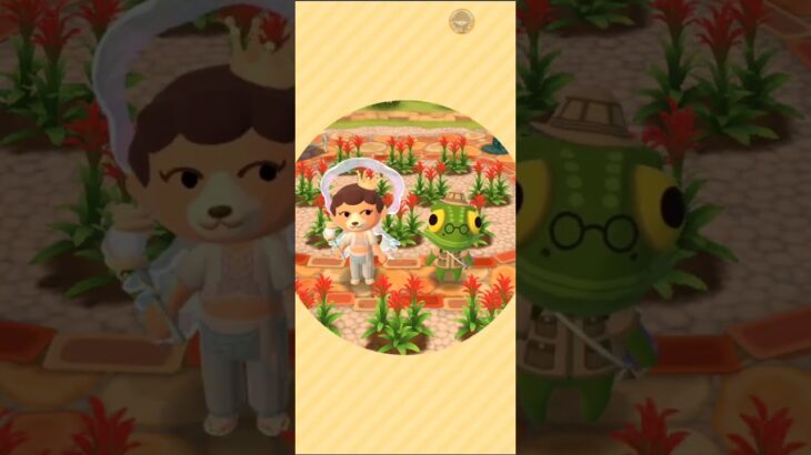 M_2500808-G      #Nintendo #AnimalCrossingNewHorizons #ポケ森 #PocketCamp #acnh #ゲーム #あつ森 #Games #動物森友會