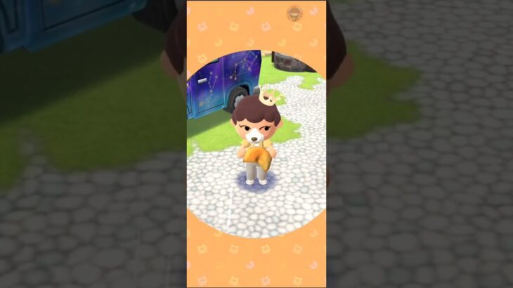 M_2500810-A      #Nintendo #AnimalCrossingNewHorizons #ポケ森 #PocketCamp #acnh #ゲーム #あつ森 #Games #動物森友會