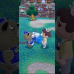 M_2500812-A      #Nintendo #AnimalCrossingNewHorizons #ポケ森 #PocketCamp #acnh #ゲーム #あつ森 #Games #動物森友會