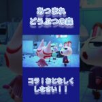 NSあつ森#5　病室で大音量で歌い出した患者3匹[RIKO]#shorts#病院
