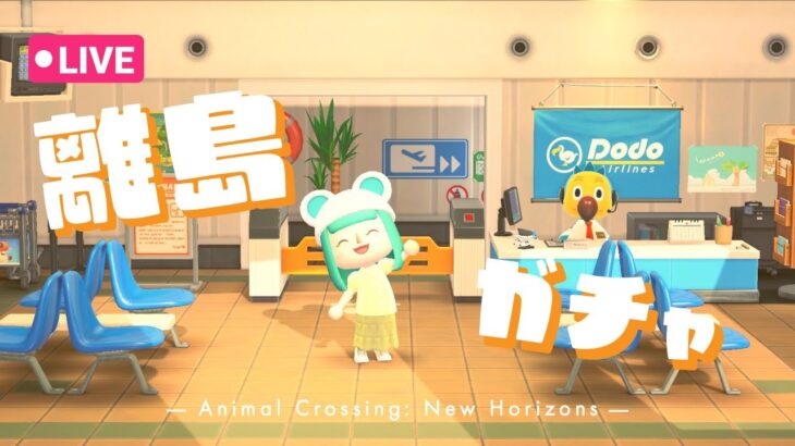 【あつ森】チーズ君を探す離島ガチャ【雑談OK】