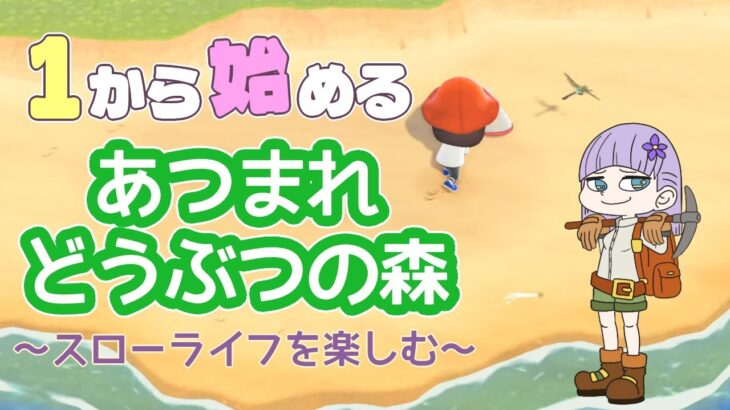 １から始めるあつ森！やっとお店がオープンするかも？！ Part4【あつまれどうぶつの森】