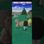 R_250817-B       #Nintendo #AnimalCrossingNewHorizons #ポケ森 #PocketCamp #acnh #ゲーム #あつ森 #Games #動物森友會