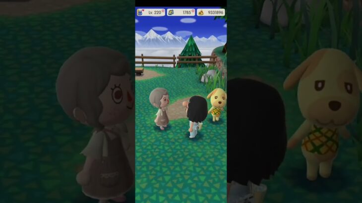 R_250817-B       #Nintendo #AnimalCrossingNewHorizons #ポケ森 #PocketCamp #acnh #ゲーム #あつ森 #Games #動物森友會