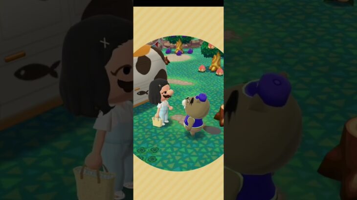 R_250819-A       #Nintendo #AnimalCrossingNewHorizons #ポケ森 #PocketCamp #acnh #ゲーム #あつ森 #Games #動物森友會
