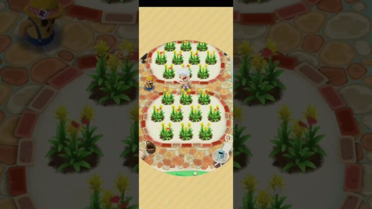 R_250904-B       #Nintendo #AnimalCrossingNewHorizons #ポケ森 #PocketCamp #acnh #ゲーム #あつ森 #Games #動物森友會