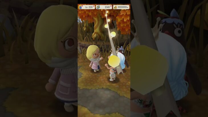 R_250911-B       #Nintendo #AnimalCrossingNewHorizons #ポケ森 #PocketCamp #acnh #ゲーム #あつ森 #Games #動物森友會