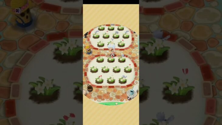 R_250913-A       #Nintendo #AnimalCrossingNewHorizons #ポケ森 #PocketCamp #acnh #ゲーム #あつ森 #Games #動物森友會