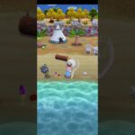 R_250921-A       #Nintendo #AnimalCrossingNewHorizons #ポケ森 #PocketCamp #acnh #ゲーム #あつ森 #Games #動物森友會