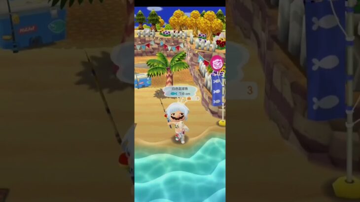 R_250923-B       #Nintendo #AnimalCrossingNewHorizons #ポケ森 #PocketCamp #acnh #ゲーム #あつ森 #Games #動物森友會