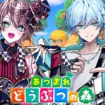 【あつ森】初心者の友達にドッキリしまくるあつまれどうぶつの森！✨【てるとくん】【 STPR / らぴす】