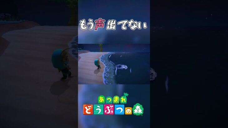 【あつ森】あつ森を全力で取り組む男 #Shorts #あつ森
