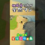 【あつ森】まだ独居房がマシやろ #Shorts #あつ森