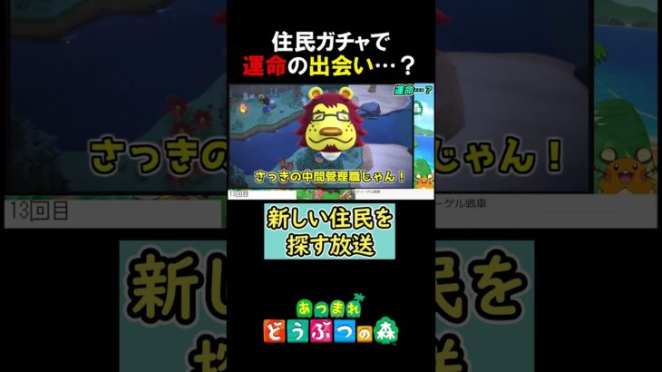 住民ガチャで運命の出会い…？【あつ森】 #みつみつい  #Shorts