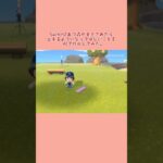 Switch2あつ森が発売されたら出来るようになってほしいことをAIで作成してみた。　#shorts  #pixverse