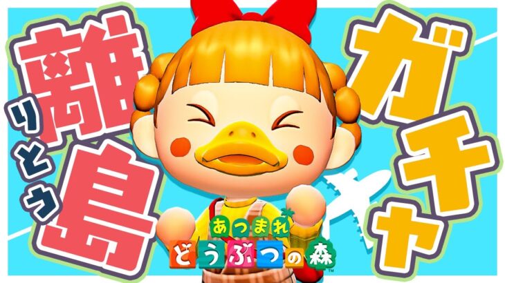 【あつ森】離島ガチャ✈️あの子を探して駆け回ります！＋TGS2025の話