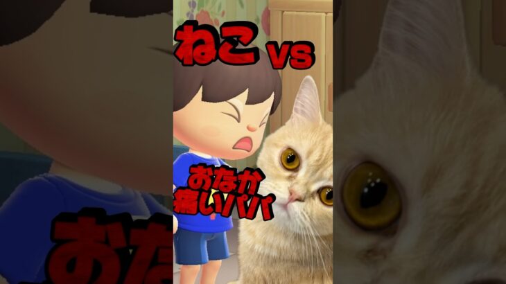 ねこVSおなか痛いパパ/あつ森アニメ#あつまれどうぶつの森