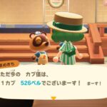 【あつまれどうぶつの森】カブ価高騰中！島開放しちゃうぞ～～～！！！！！【#あつ森 #個人VTuber うどん粉ぽんず】