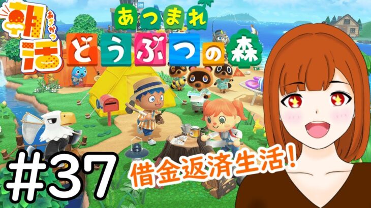 【朝活配信】【あつまれどうぶつの森】果樹園づくりなかなか終わらない！　＃３７　【ちりぬさん/新人VTuber】