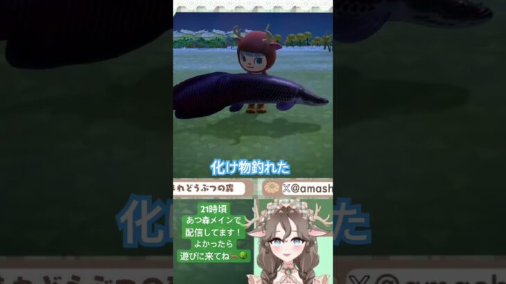 #あつ森 #あつまれどうぶつの森  #釣り #Vtuber  本編は配信見てね👀