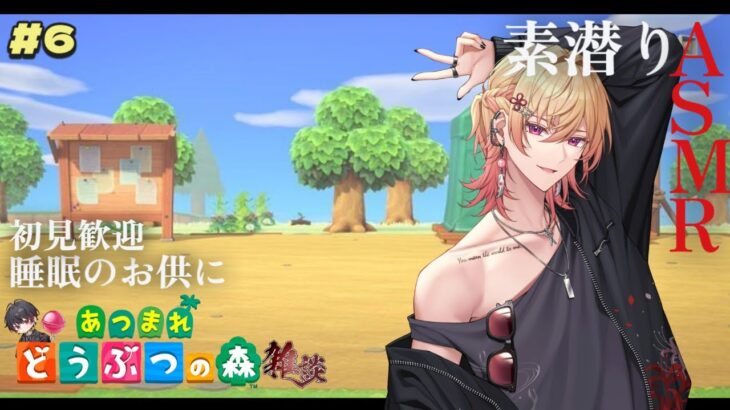 【あつ森】博物館が開く。 あつまれどうぶつの森　雑談枠　初見歓迎【新人Vtuber 飴ノしずく】