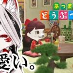 【あつ森】趣味全振りでクリエイトしていきたいね！【Vtuber】