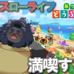 【あつ森】 夜活！無人島ぐ～たらライフ  【ケモノVtuber】#あつまれどうぶつの森
