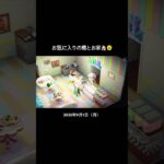 #あつまれどうぶつの森 #あつ森 #acnh #animalcrossing