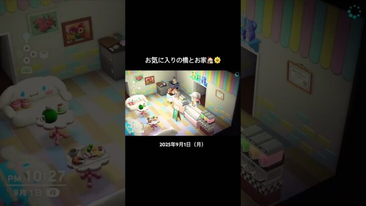 #あつまれどうぶつの森 #あつ森 #acnh #animalcrossing