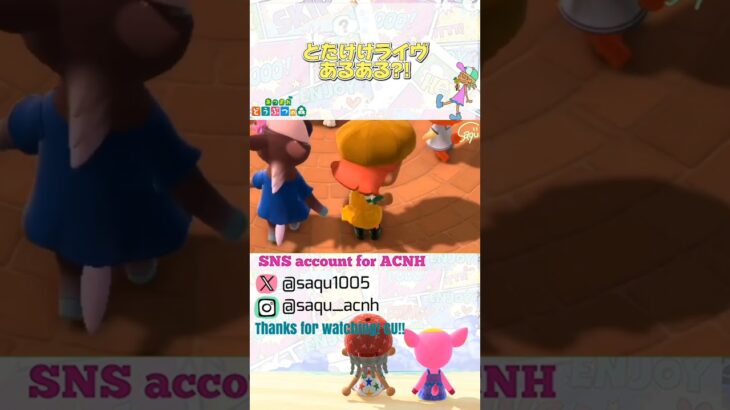 【とたけけライヴあるある?!】#あつ森 #acnh #どうぶつの森 #animalcrossing #あつ森ショート #short #あつ森好きな人と繋がりたい #あつ森あるある