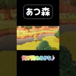 【あつ森プレイ】何が釣れるかな…#あつ森 #あつまれどうぶつの森 #ゲーム実況 #ゲーム #animalcrossing