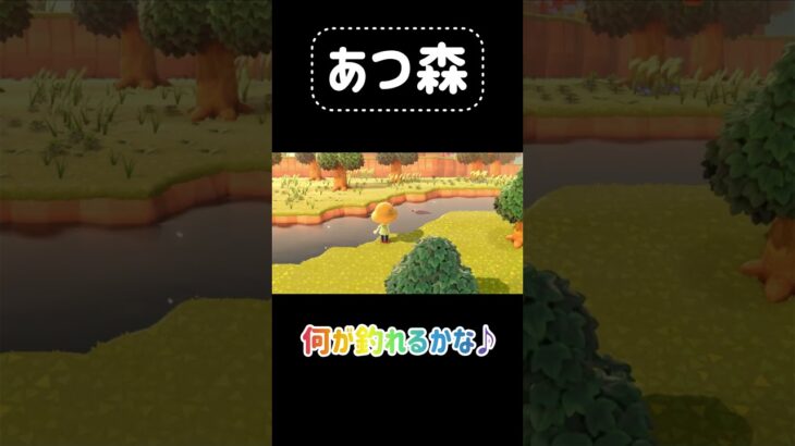 【あつ森プレイ】何が釣れるかな…#あつ森 #あつまれどうぶつの森 #ゲーム実況 #ゲーム #animalcrossing