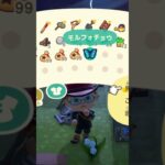 【あつ森】置き場のなくなっなモルフォチョウを逃がしてあげたよ！【あつまれどうぶつの森】 #あつ森 #animalcrossing #あつまれどうぶつの森