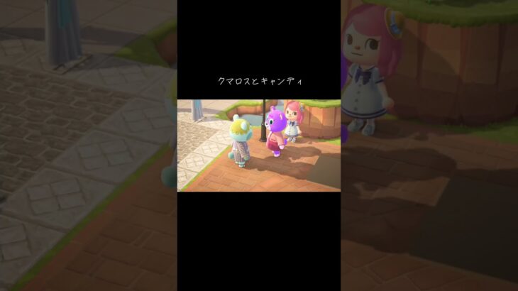 #クマロス#キャンディ#あつ森 #あつまれどうぶつの森 #動物森友會 #動森 #animalcrossing #animalcrossingnewhorizons