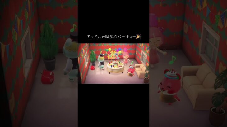 #あつ森 #あつまれどうぶつの森 #アップル#誕生日#誕生日パーティー#動物森友會 #動森 #animalcrossing #animalcrossingnewhorizons #birthday