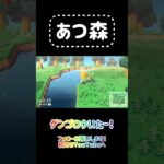 【あつ森プレイ】ゲンゴロウを捕まえる！ #あつ森 #あつまれどうぶつの森 #animalcrossing #ゲーム #nintendo