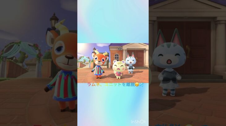 ラムネちゃんシングルデビュー🎤🎵😂 #あつ森 #あつまれどうぶつの森 #animalcrossing #shorts #gaming #ジュン #ラムネ #ペーター
