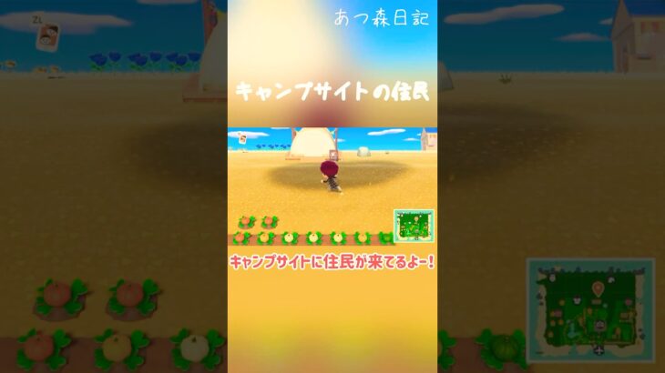 キャンプサイトにきた子は誰だ…！？#あつ森#あつまれどうぶつの森 #あつ森好きな人と繋がりたい #ゲーム実況 #どうぶつの森 #animalcrossing #shorts #short
