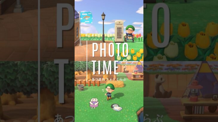 たまたまのシャッター。それが大事だった。#animalcrossing #あつ森 #写真 #undertale