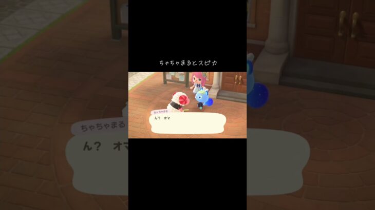 #ちゃちゃまる#スピカ#あつ森 #あつまれどうぶつの森 #動物森友會 #animalcrossingnewhorizons #animalcrossing #動森