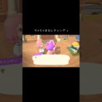 #ちゃちゃまる#キャンディ#あつ森 #あつまれどうぶつの森 #animalcrossingnewhorizons #animalcrossing
