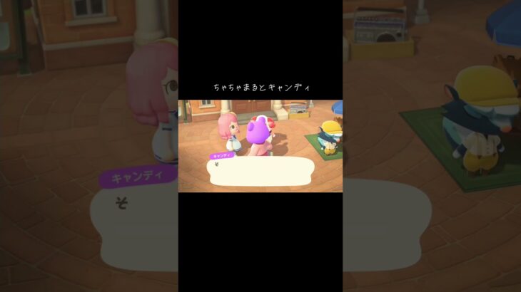 #ちゃちゃまる#キャンディ#あつ森 #あつまれどうぶつの森 #animalcrossingnewhorizons #animalcrossing