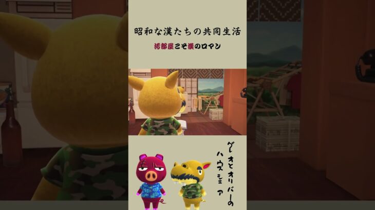 【あつ森】汚部屋は漢のロマン❗️/ ハピパラレイアウト  #あつまれどうぶつの森 #ハッピーホームパラダイス #ゲーム #animalcrossingnewhorizons＃shorts