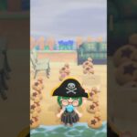 あつ森　シンタゲームchさんの企画でベルをいただきました。