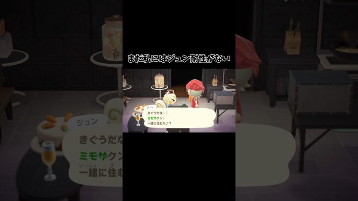 キザなセリフにはまだ慣れない　#あつ森 #あつまれどうぶつの森 #ジュン #ゲーム実況 #おすすめ #fyp #shorts