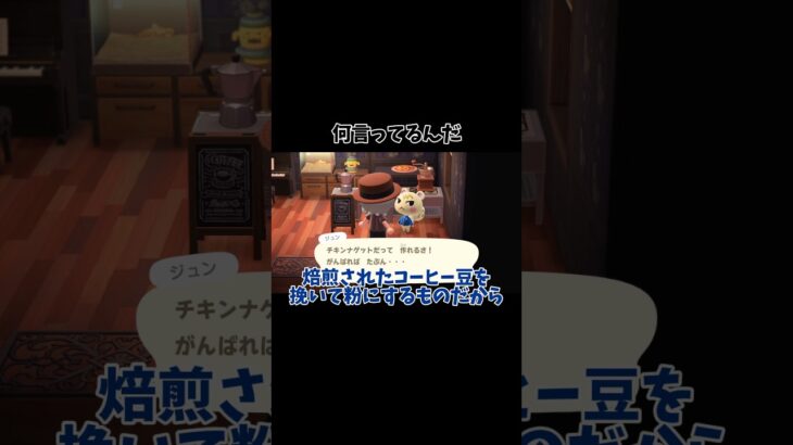 私もジュンも何を言ってるんだ　#あつ森 #あつまれどうぶつの森 #ジュン #ゲーム実況 #おすすめ #fyp #shorts