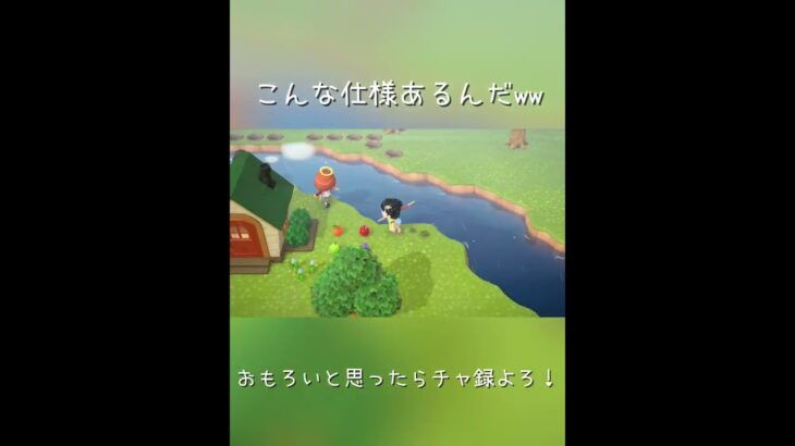 【あつ森お久にやった結果】私の島来たい人とかいたり……！？#あつ森 #ばずれ #gaming #フレンド募集 #ネタ @paru_0714 @noka_spl