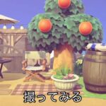 整地〜更地化計画long ver#あつ森 #更地#リセット
