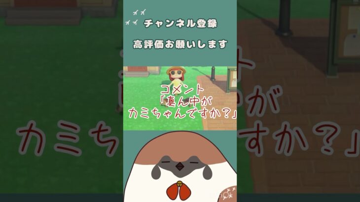 大事な家族の紹介です！！part2 #あつ森