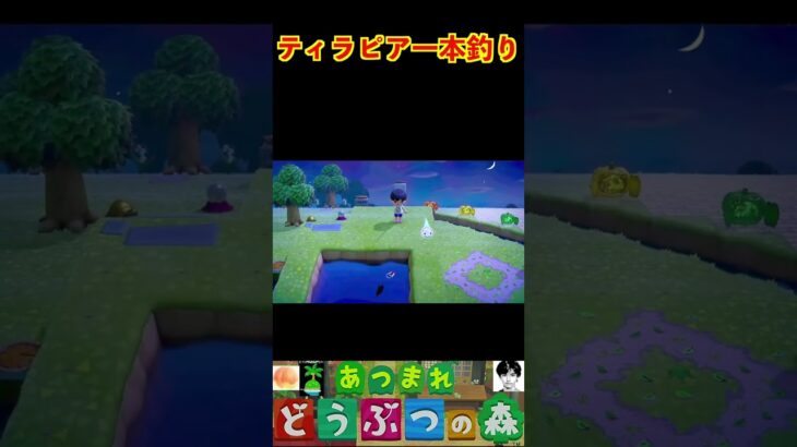 ティラピア一本釣り #あつまれどうぶつの森 #shorts #あつ森